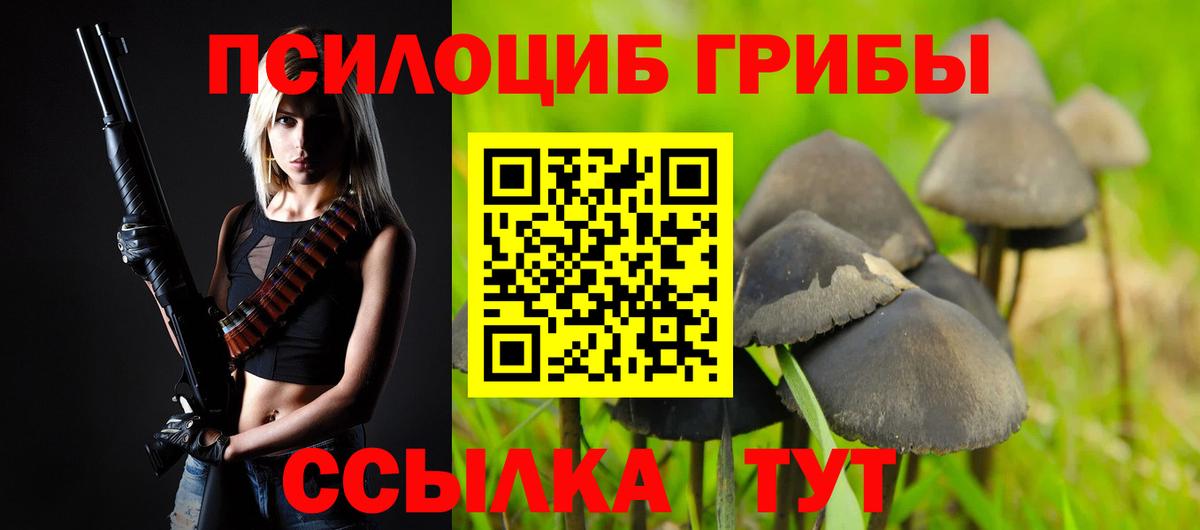Борисоглебск  Галлюциногенные грибы ЛСД  Вход с VPN 